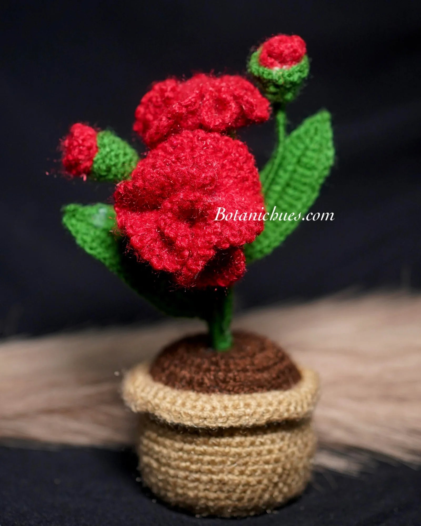 Carnation Love Pot