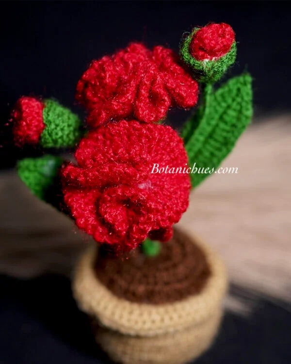 Carnation Love Pot