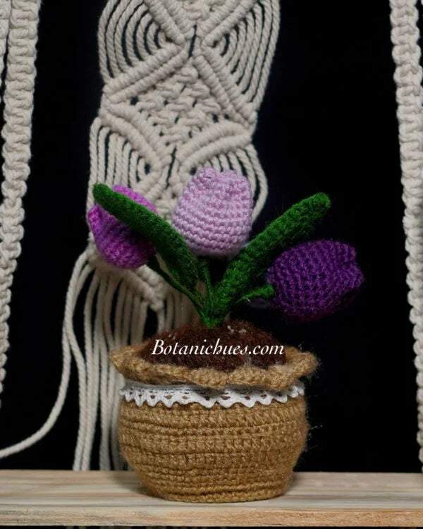 Cozy Tulip Pot
