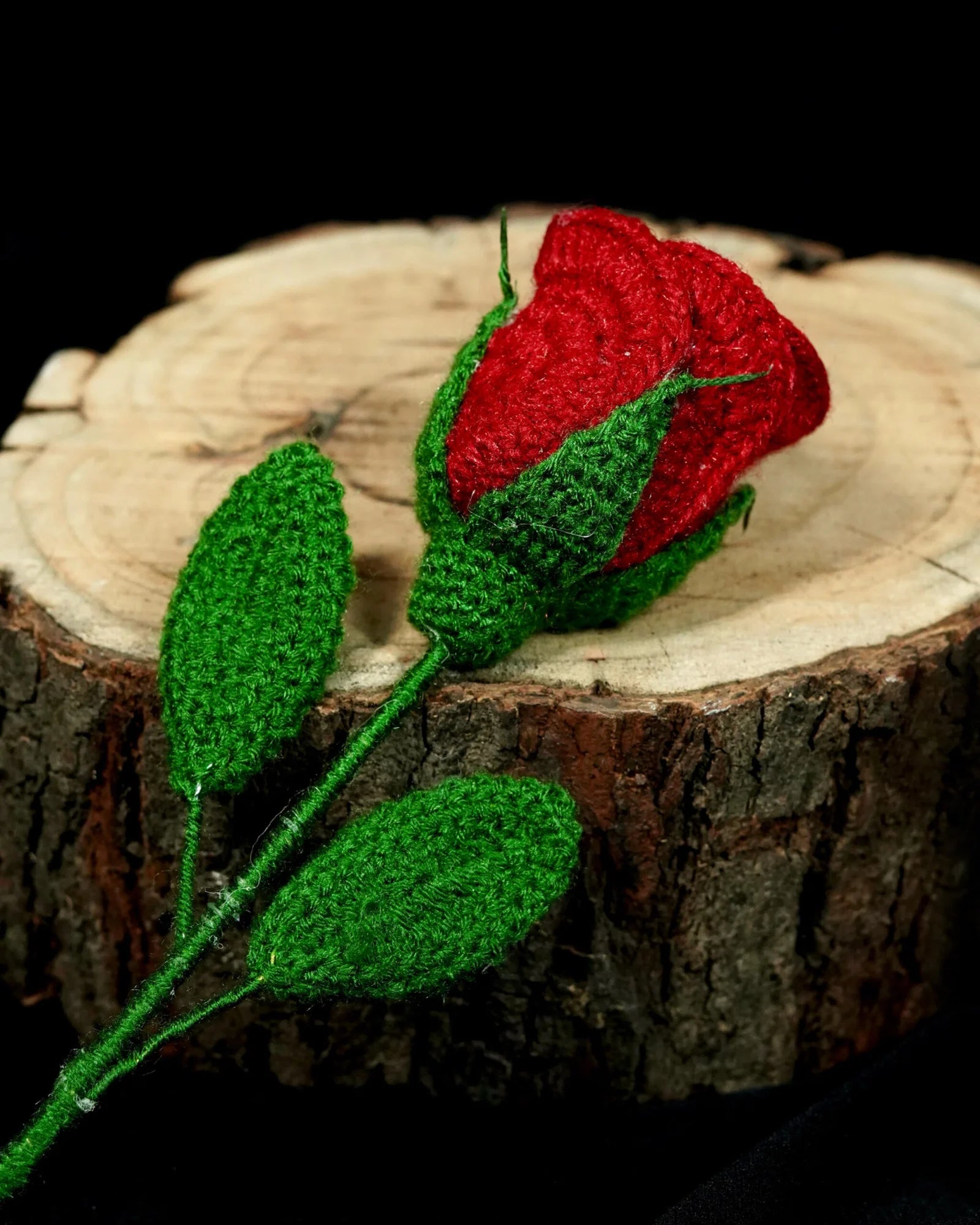 English Crimson Rose