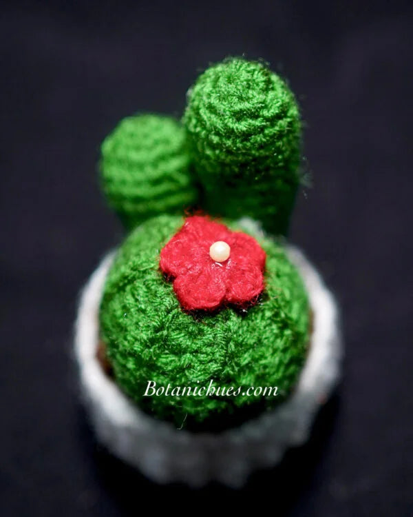 Knitted Desert