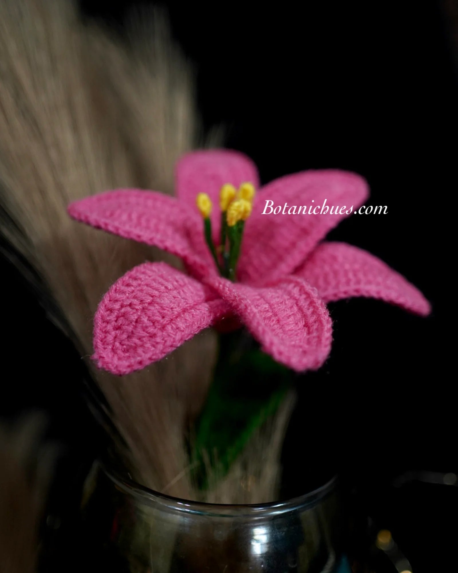 Lily of Love