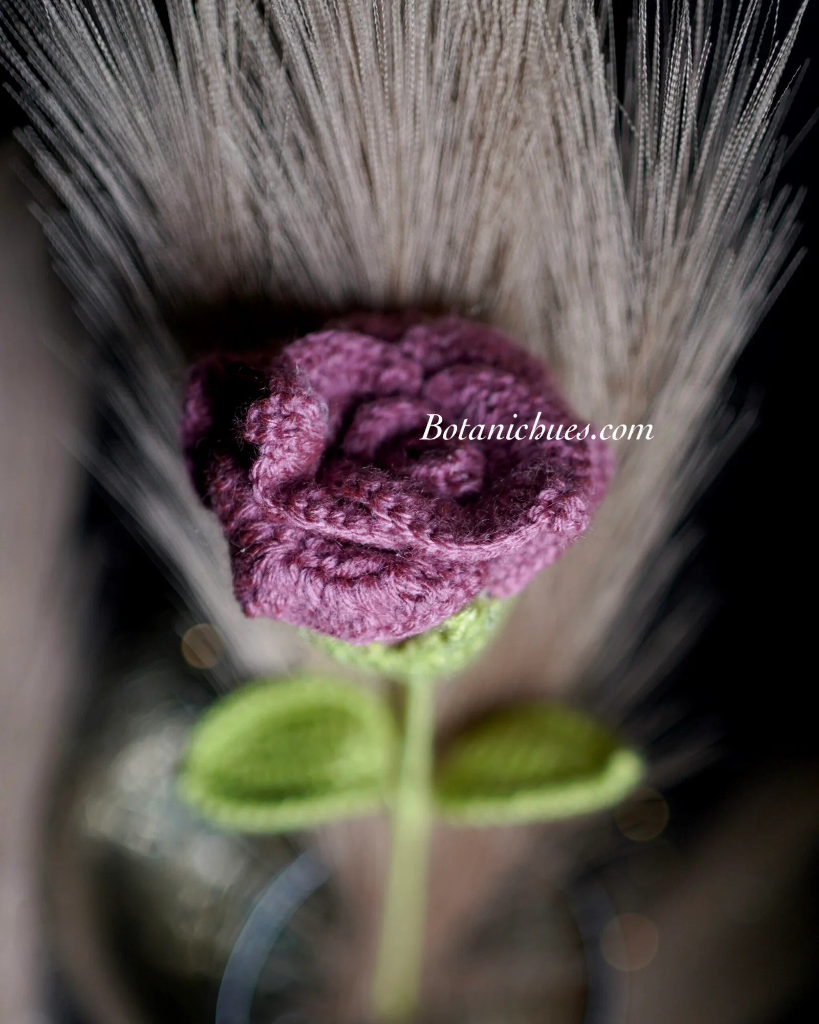 Mauve Melody Rose