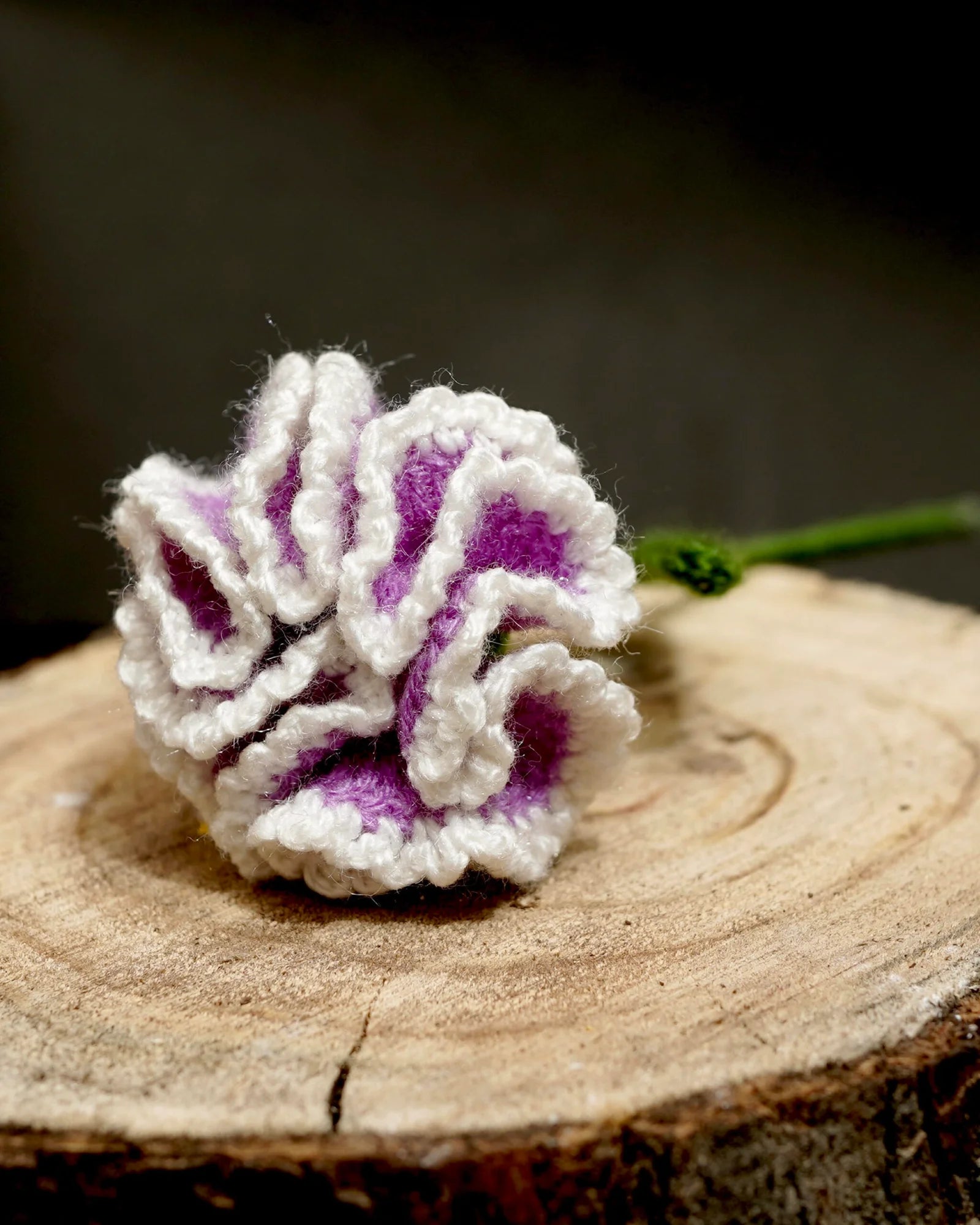 Mystic Mauve Carnation