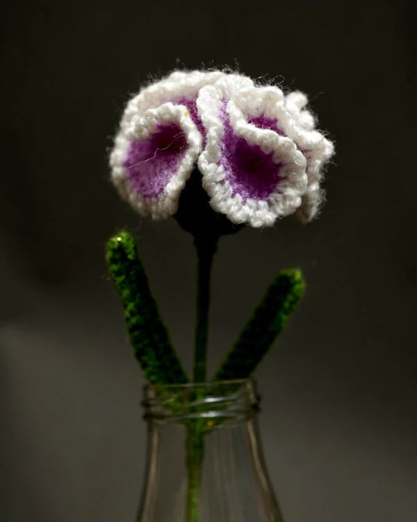 Mystic Mauve Carnation