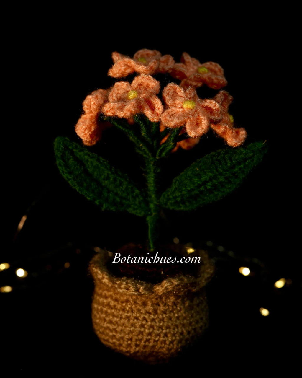 Peach Forget-Me-Nots