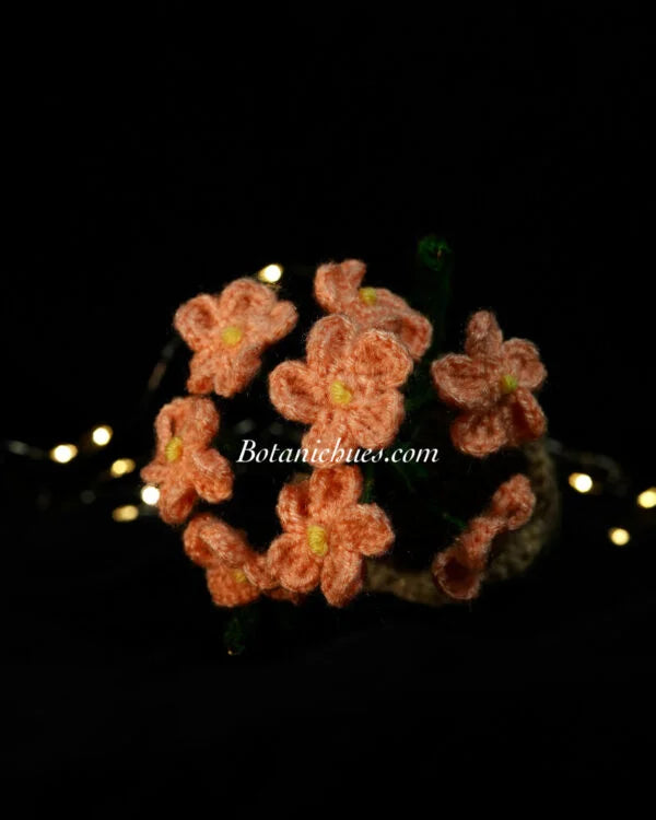 Peach Forget-Me-Nots