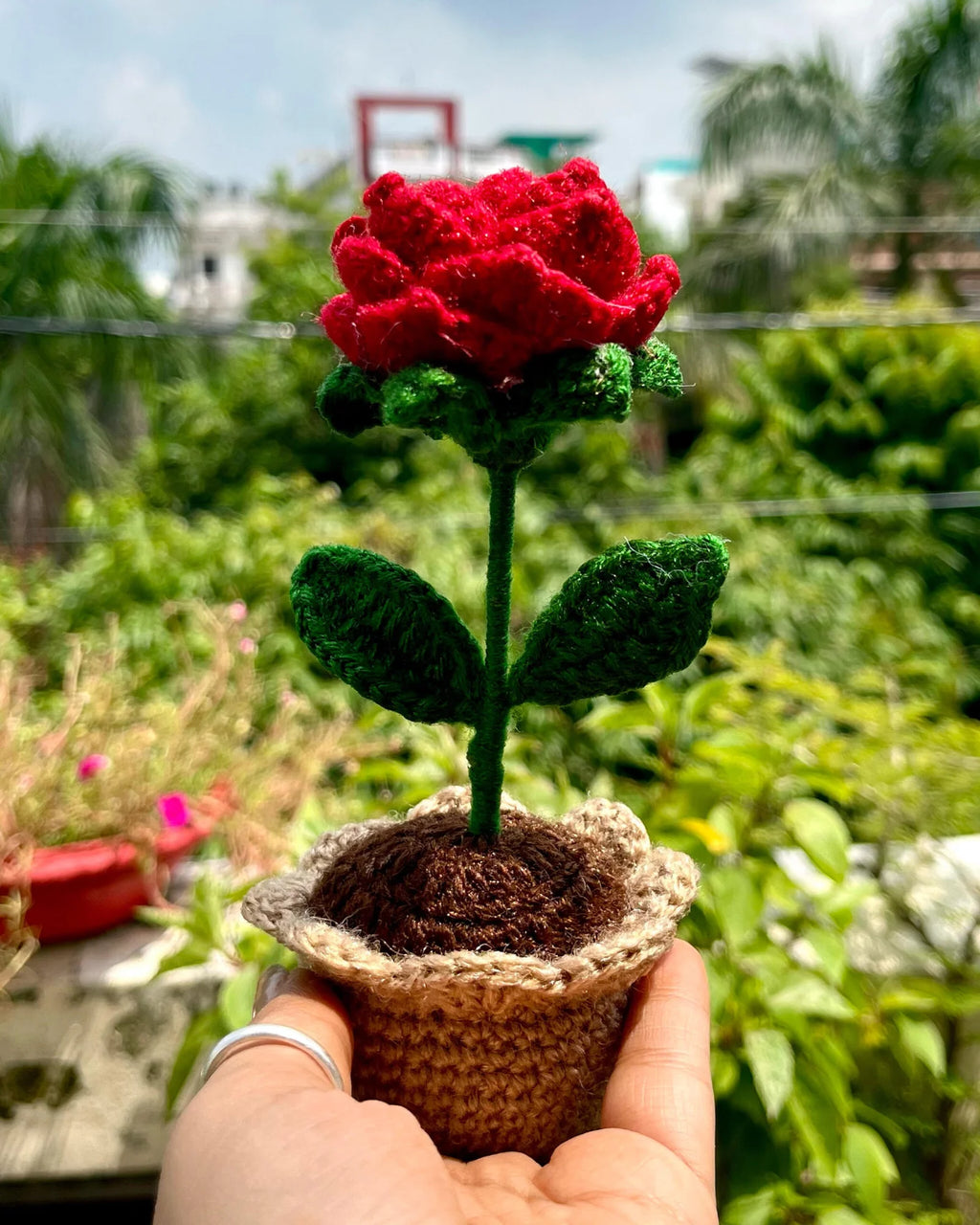 Ruby Rose Pot