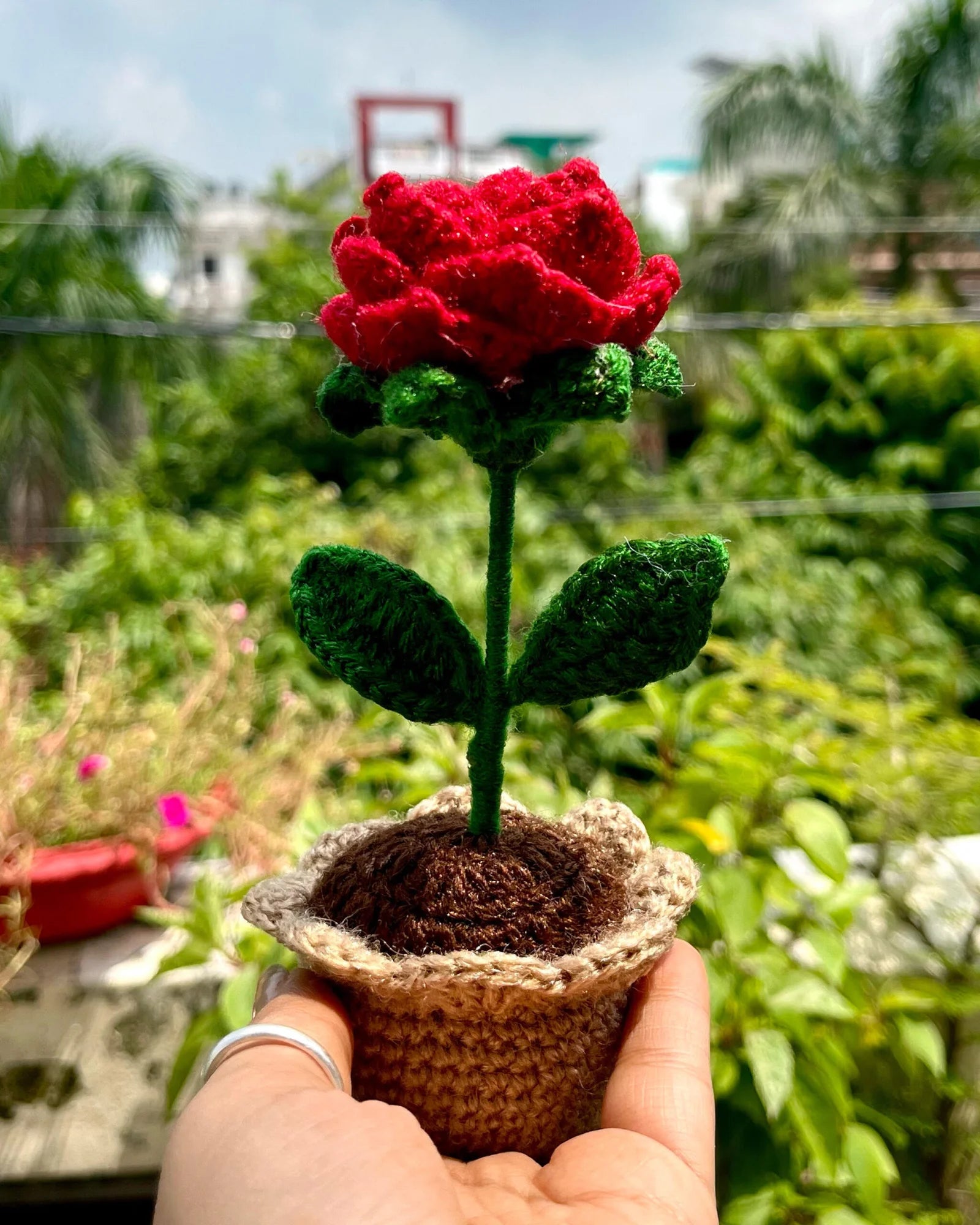 Ruby Rose Pot