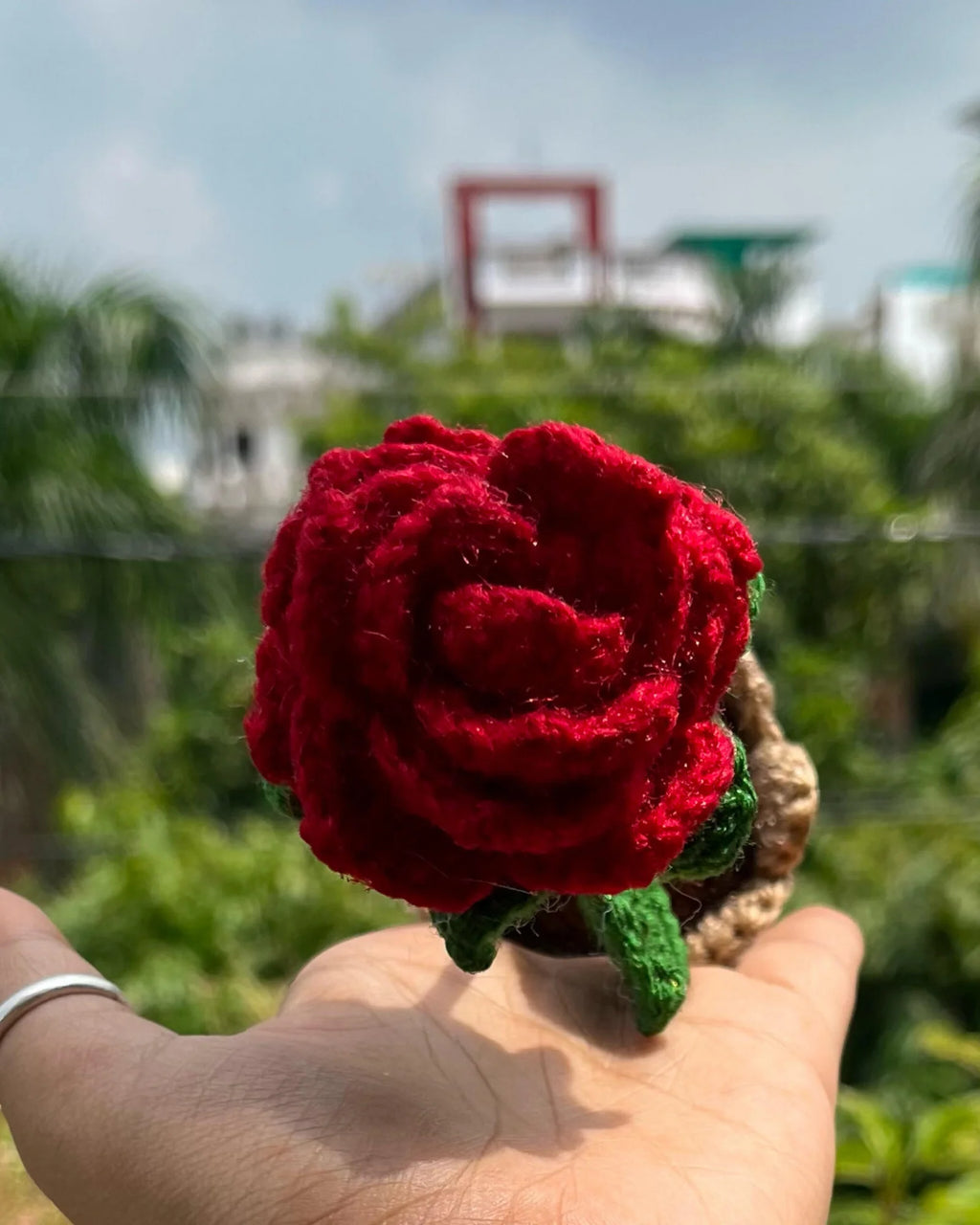 Ruby Rose Pot