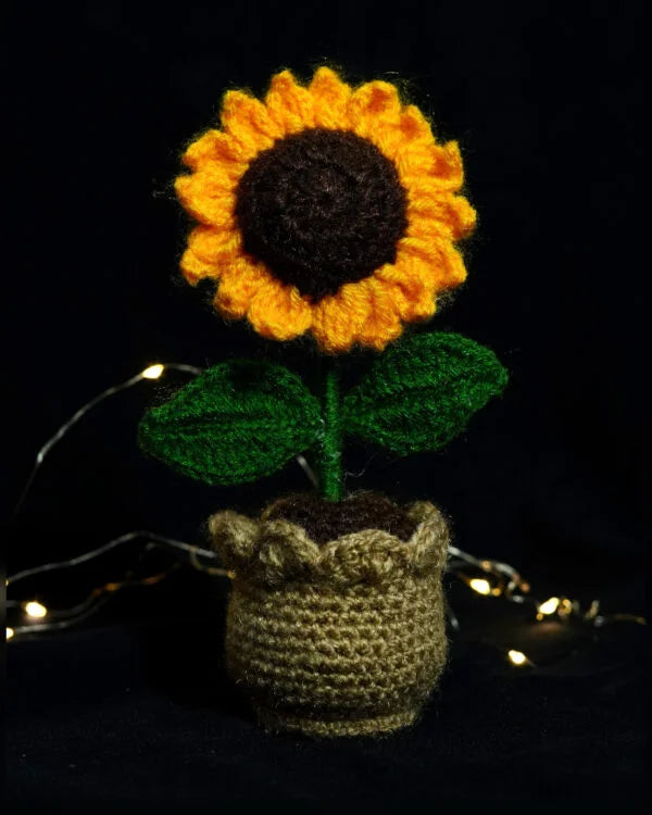 SunKissed Pot