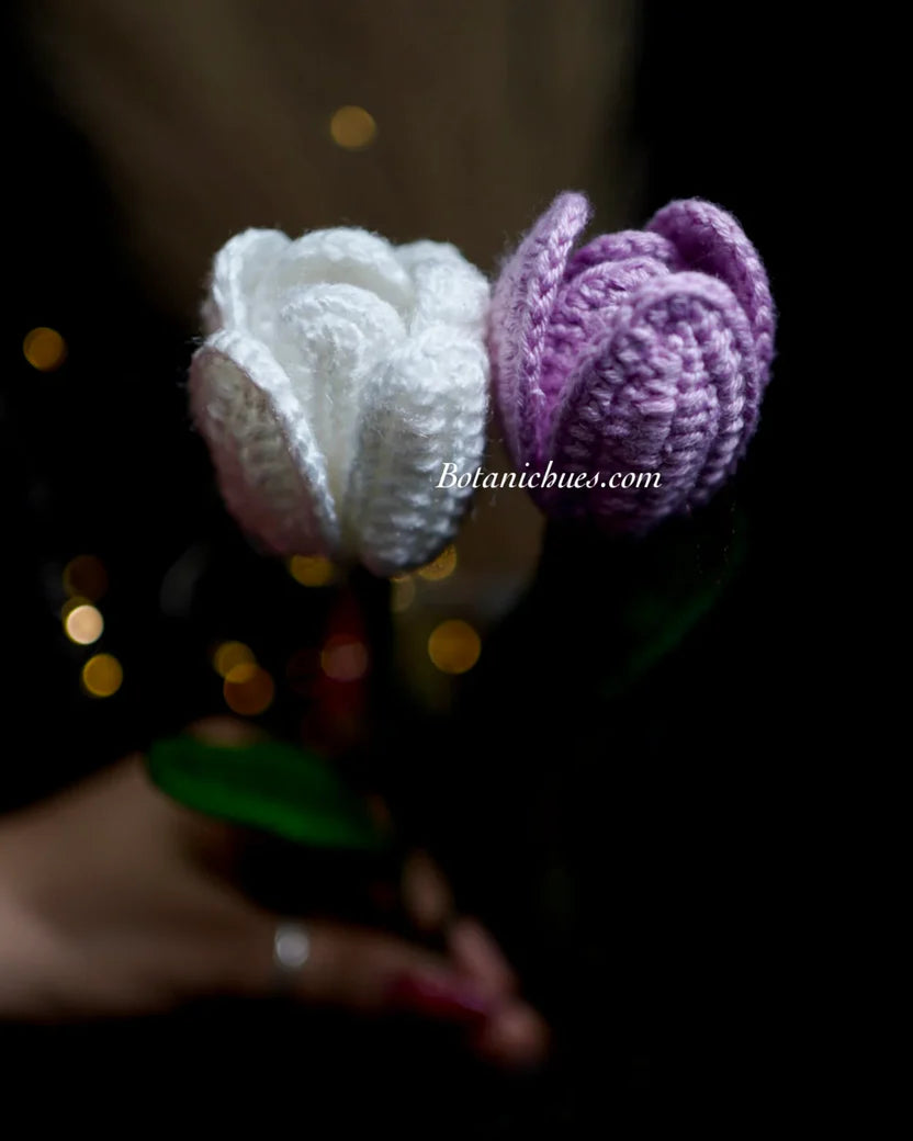 Tulip whisper duo