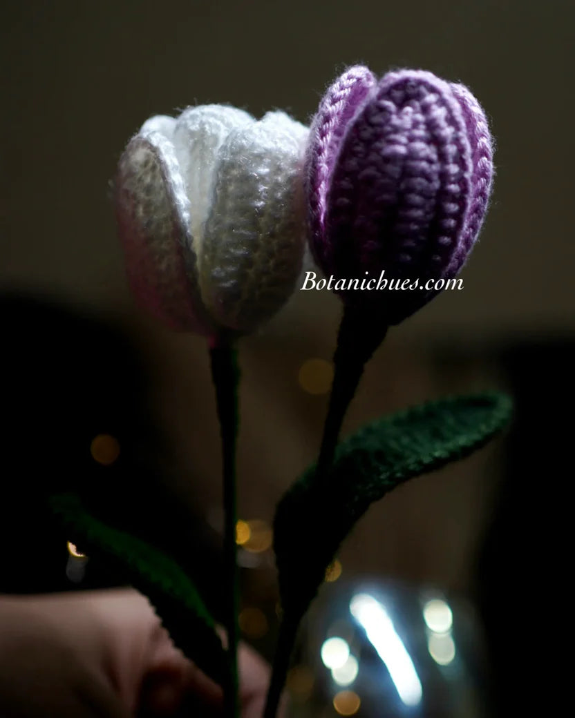 Tulip whisper duo