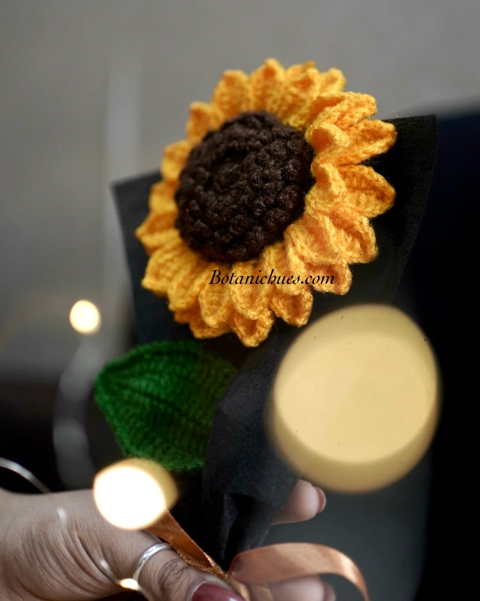 Hybrid Radiant Sunflower