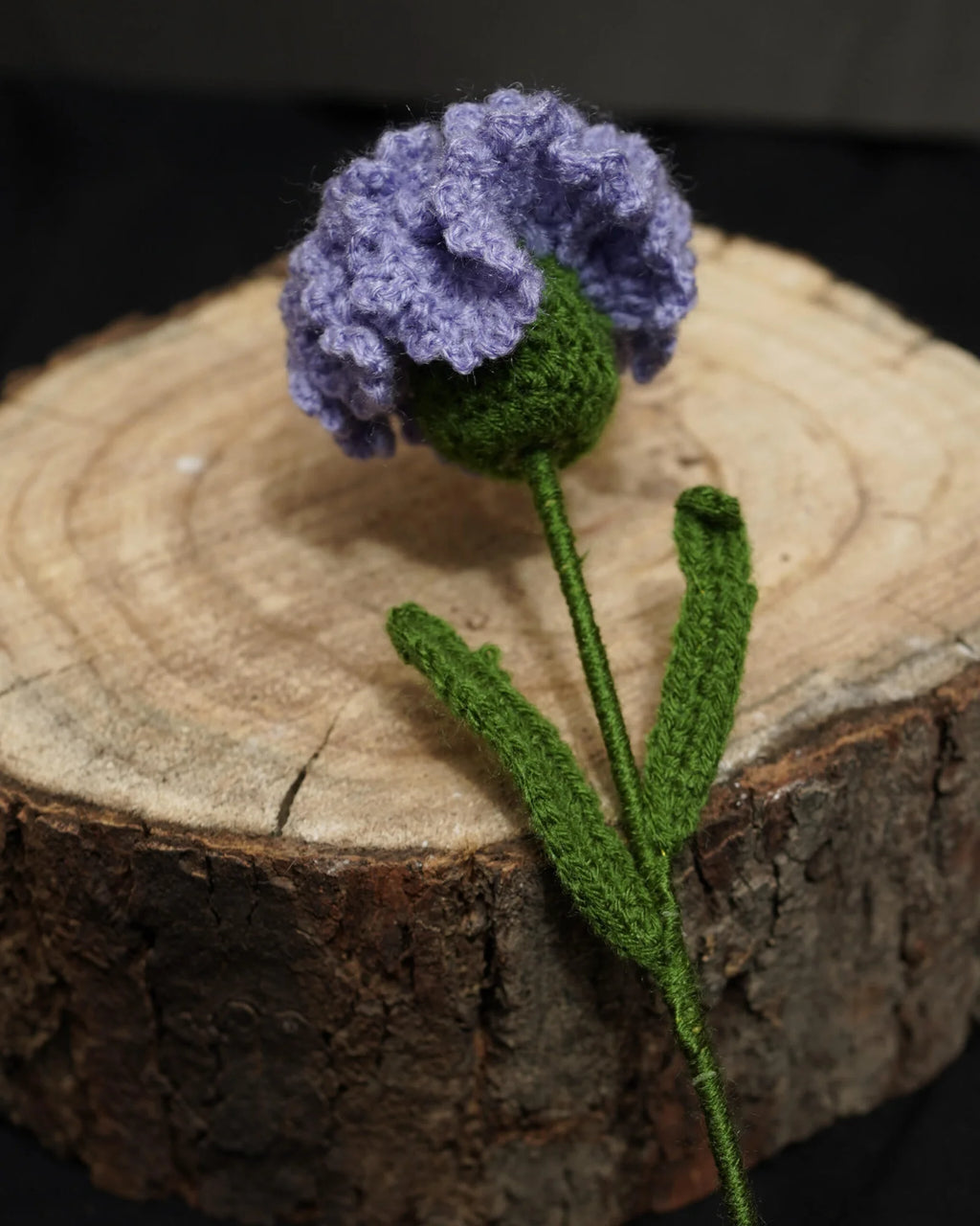 Royal Purple Carnation