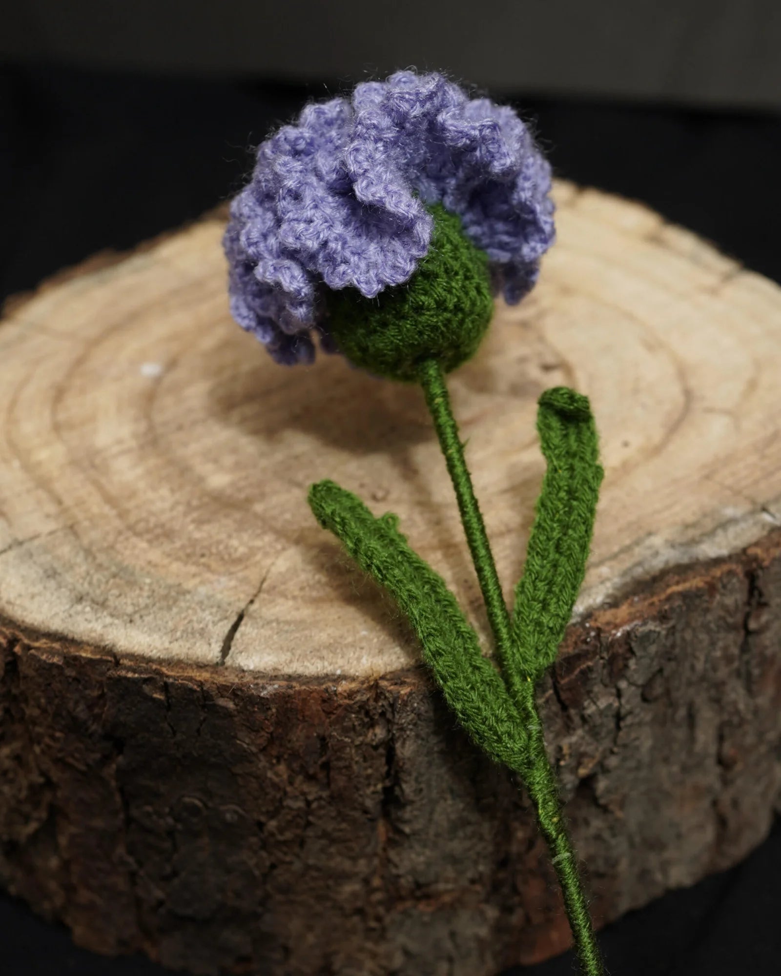 Royal Purple Carnation