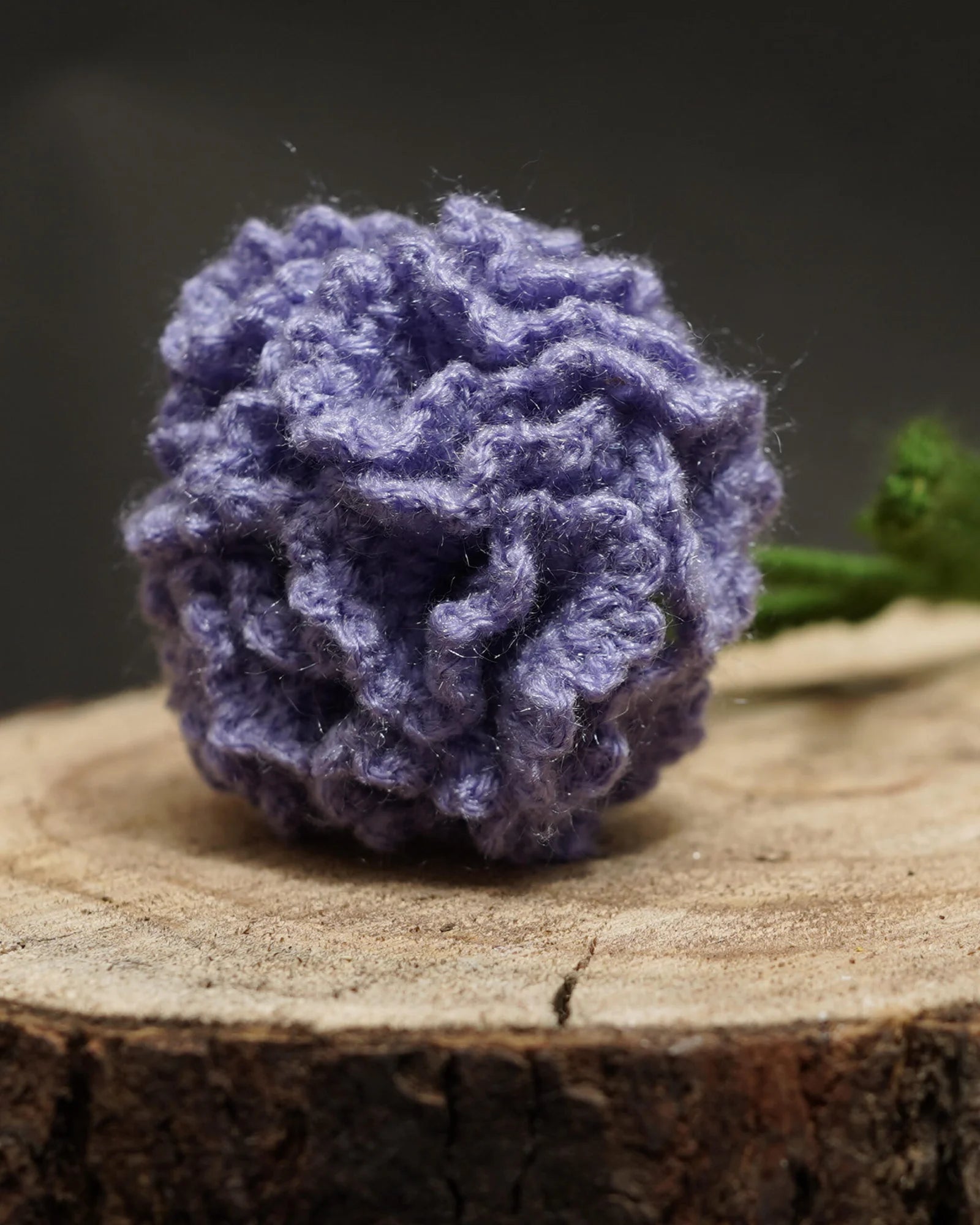 Royal Purple Carnation