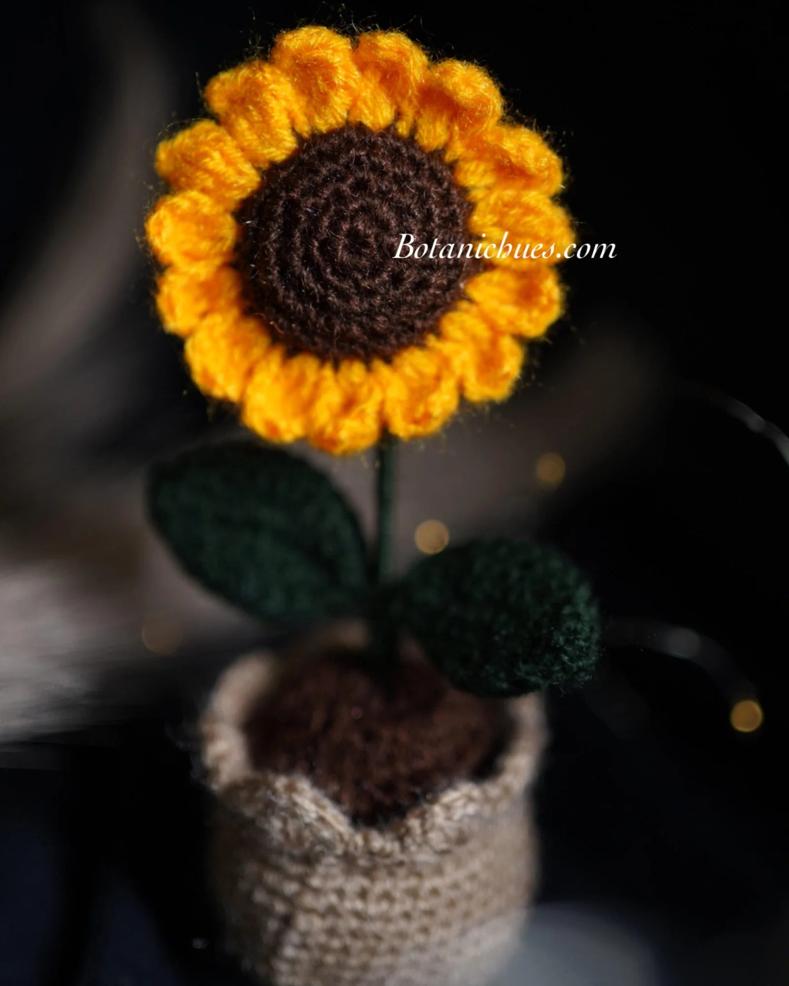 SunKissed Pot