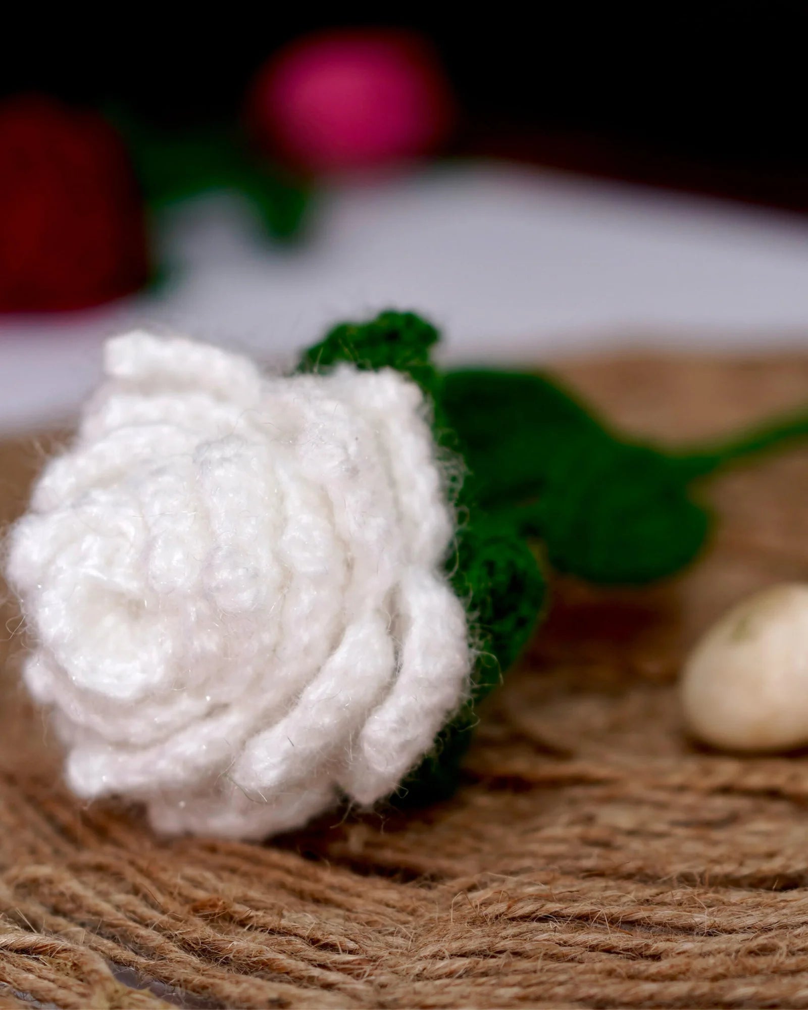 Everlasting White Rose