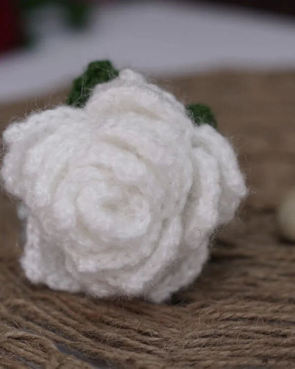 Everlasting White Rose