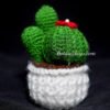 Knitted Desert