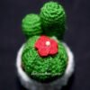 Knitted Desert - Image 2