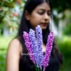 Threaded Lavender Sticks - Image 2