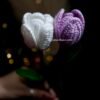 Tulip Whisper Duo (lilac & white)