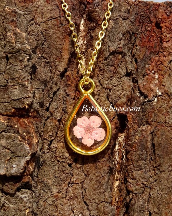 Plum Petal Drop